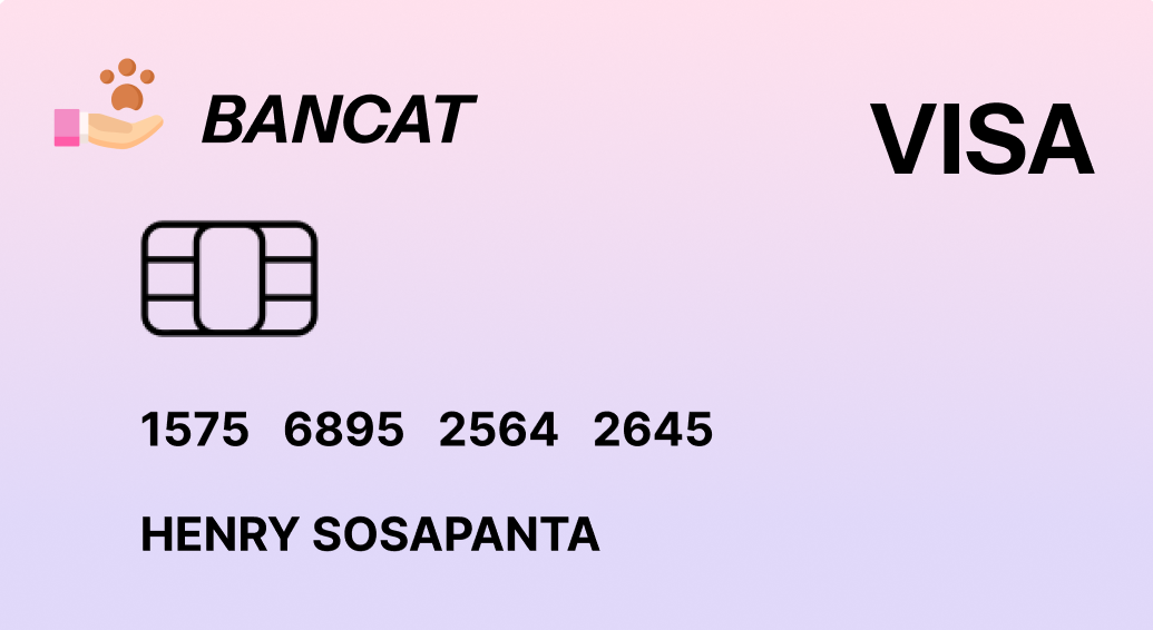Visa